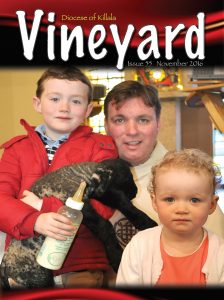 vineyard-cover
