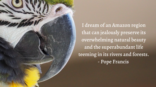 Pope Francis and the Amazon