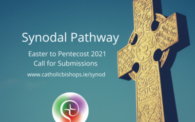 Irish Bishops announce initial submission phase.