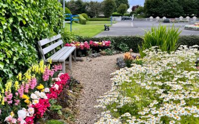 Bereavement Support Group – Knock Shrine